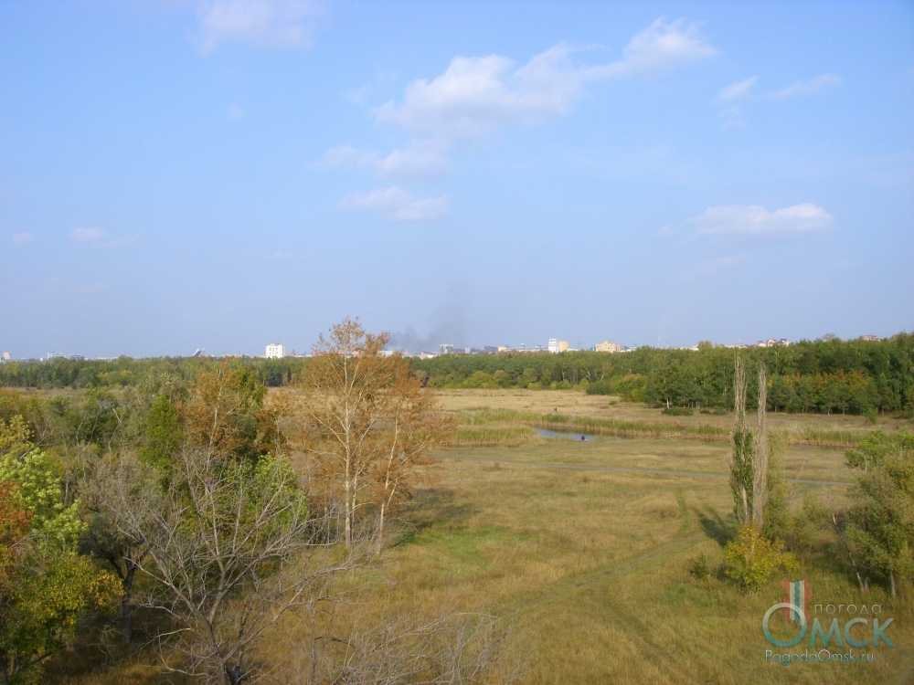 Вид на парк им. 30-летия Победы со смотровой площадки