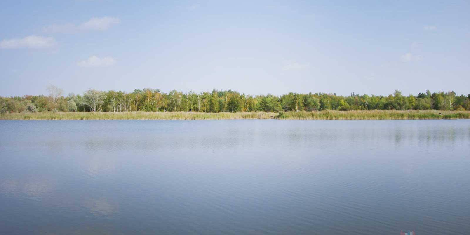Озеро в парке им. 30-летия Победы